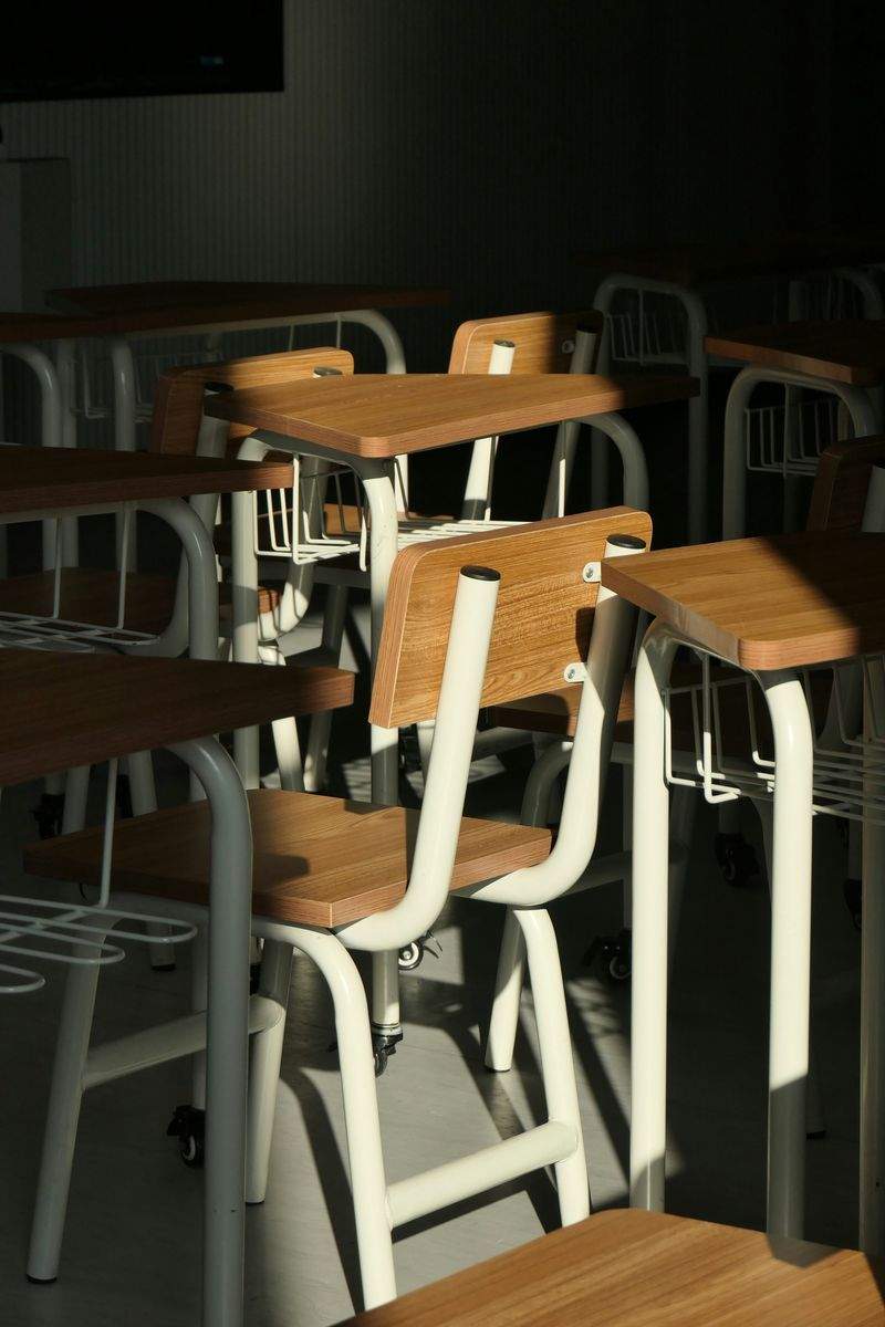 Den Moderne Skole - Image 5